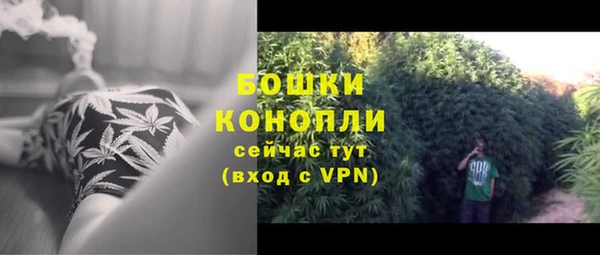 гашик Лиски
