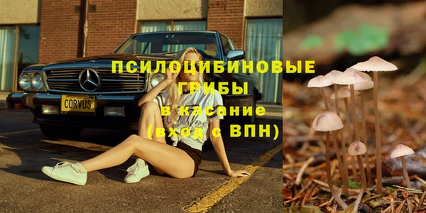 mdpv Лихославль