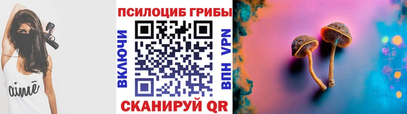 blacksprut как зайти  Новосиль  Псилоцибиновые грибы MAGIC MUSHROOMS 